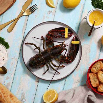 BRAND, CATEGORY, LIVE LOBSTER, MAINE LOBSTER NOW, 1.25 lb Live Maine Lobster