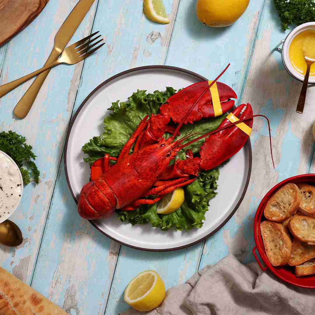 BRAND, CATEGORY, MAINE LOBSTER NOW, Live Lobster