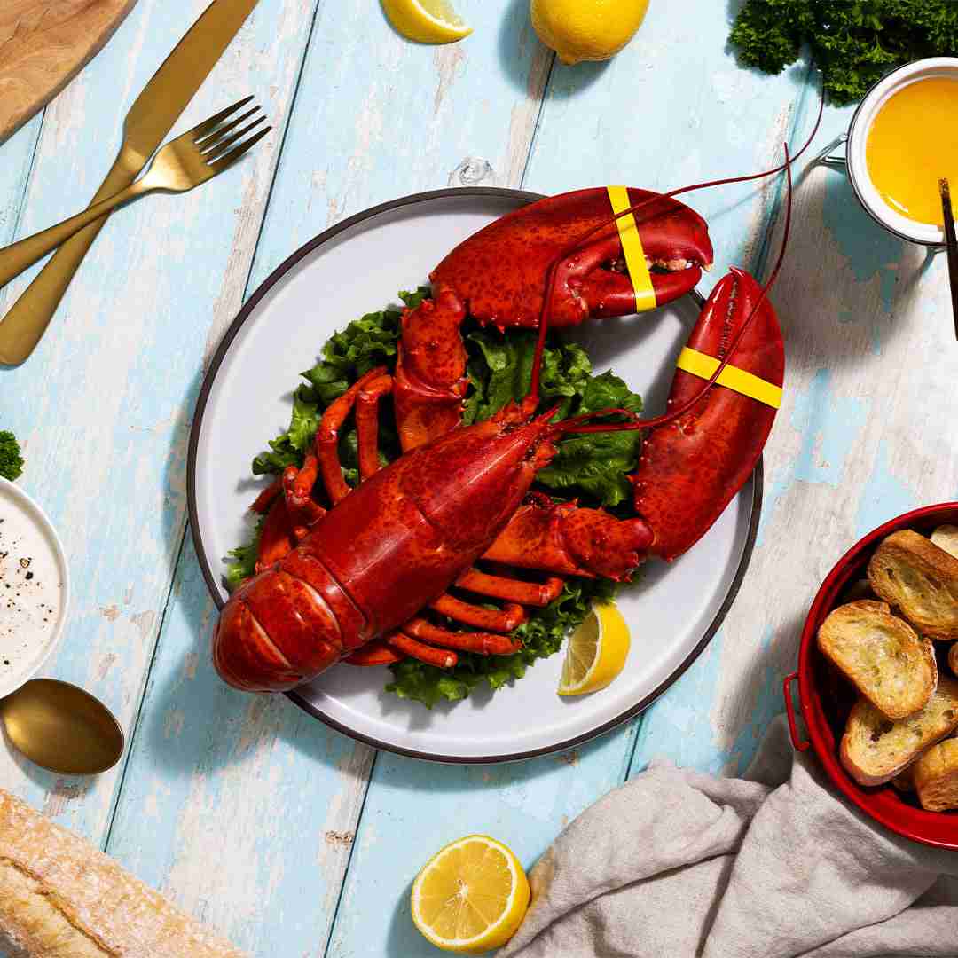 BRAND, CATEGORY, MAINE LOBSTER NOW, Live Lobster