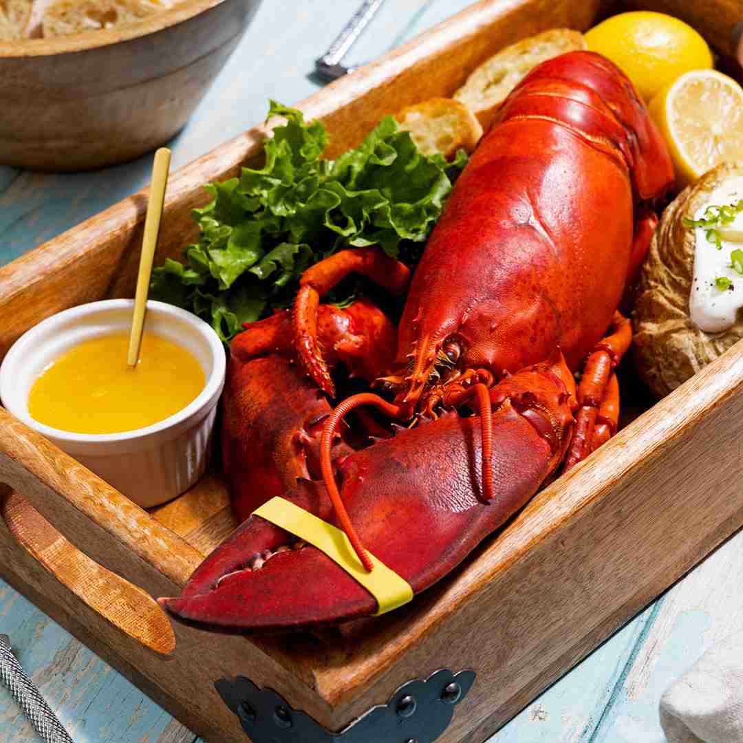 2 lb Live Maine Lobster