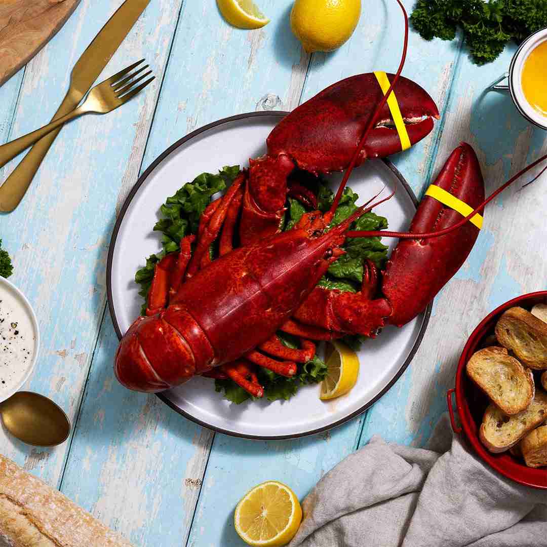 BRAND, CATEGORY, MAINE LOBSTER NOW, Live Lobster