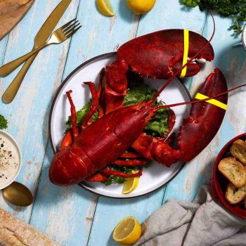 BRAND, CATEGORY, MAINE LOBSTER NOW, Live Lobster