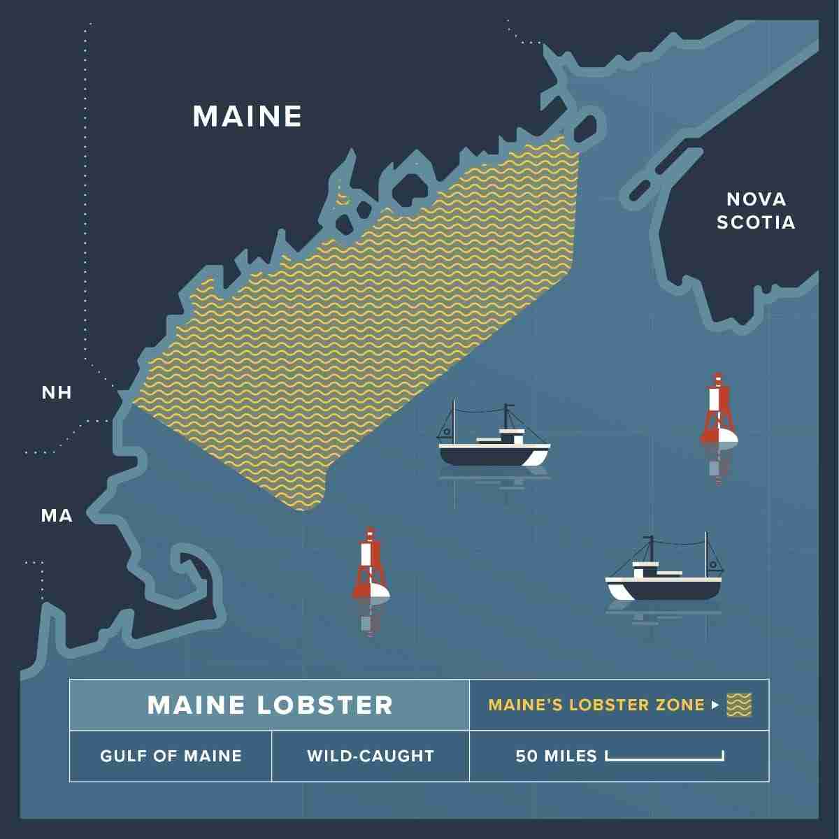 3 lb Live Maine Lobster