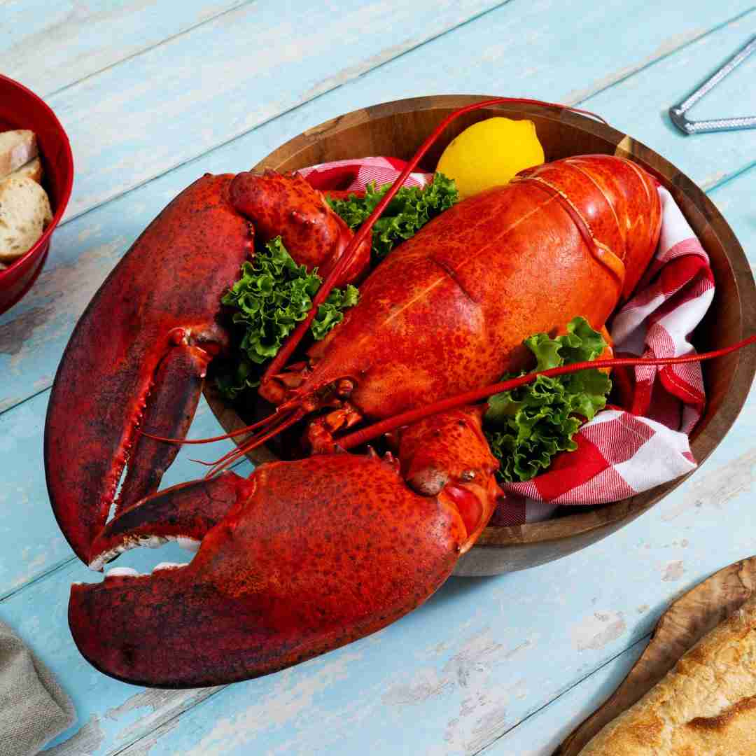 6 lb – 8 lb Live Canadian Lobster