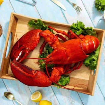 BRAND, CATEGORY, MAINE LOBSTER NOW, Live Lobster