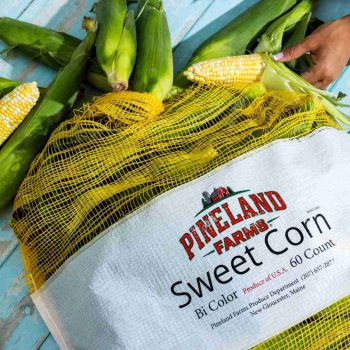 BRAND, CATEGORY, GROCERY, MAINE LOBSTER NOW, Fresh Local Maine Corn - Pineland Farms™