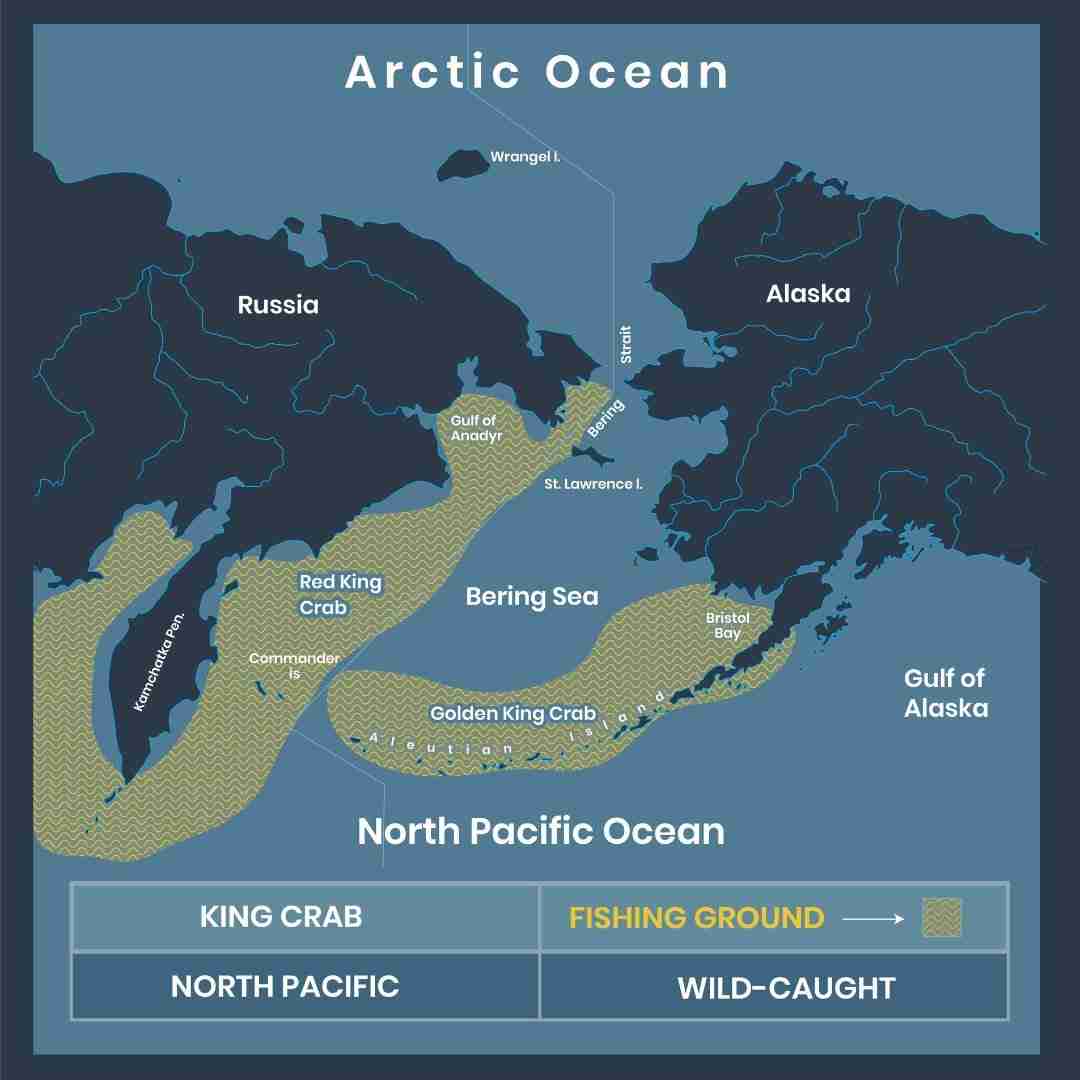 Red King Crab Merus Segment – Prime Cut – 2 lbs.