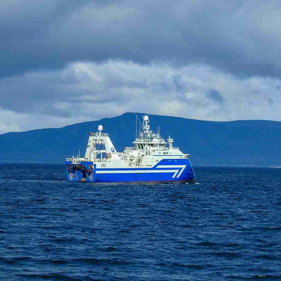 Wild-Caught Icelandic Cod Loin – 16-20 oz.